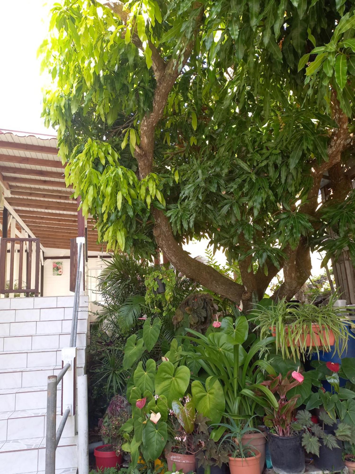 Logement Entier Au Soleil Couchant ديساي المظهر الخارجي الصورة