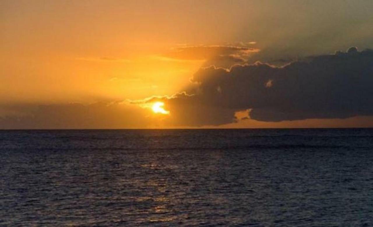 Logement Entier Au Soleil Couchant ديساي المظهر الخارجي الصورة