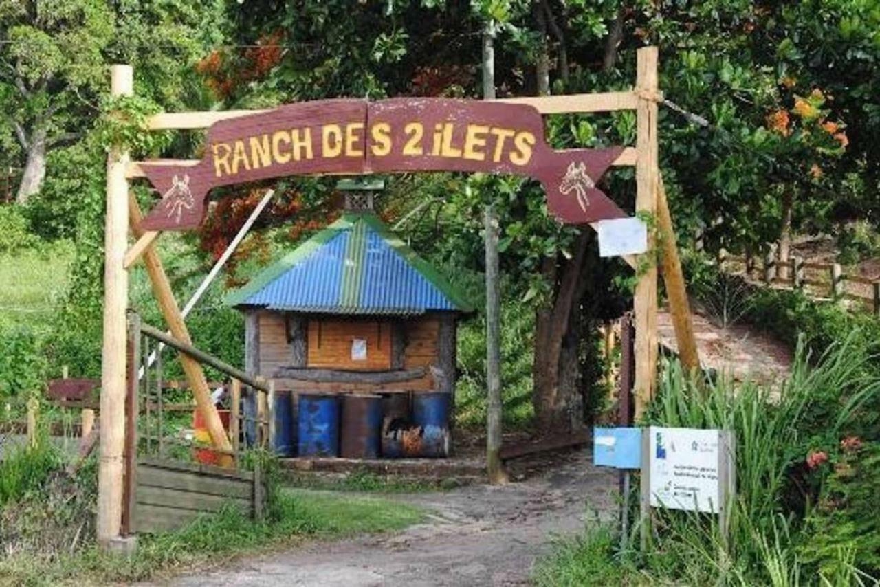 Logement Entier Au Soleil Couchant ديساي المظهر الخارجي الصورة